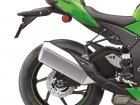 Kawasaki Z-X10RR Ninja Limited Edition